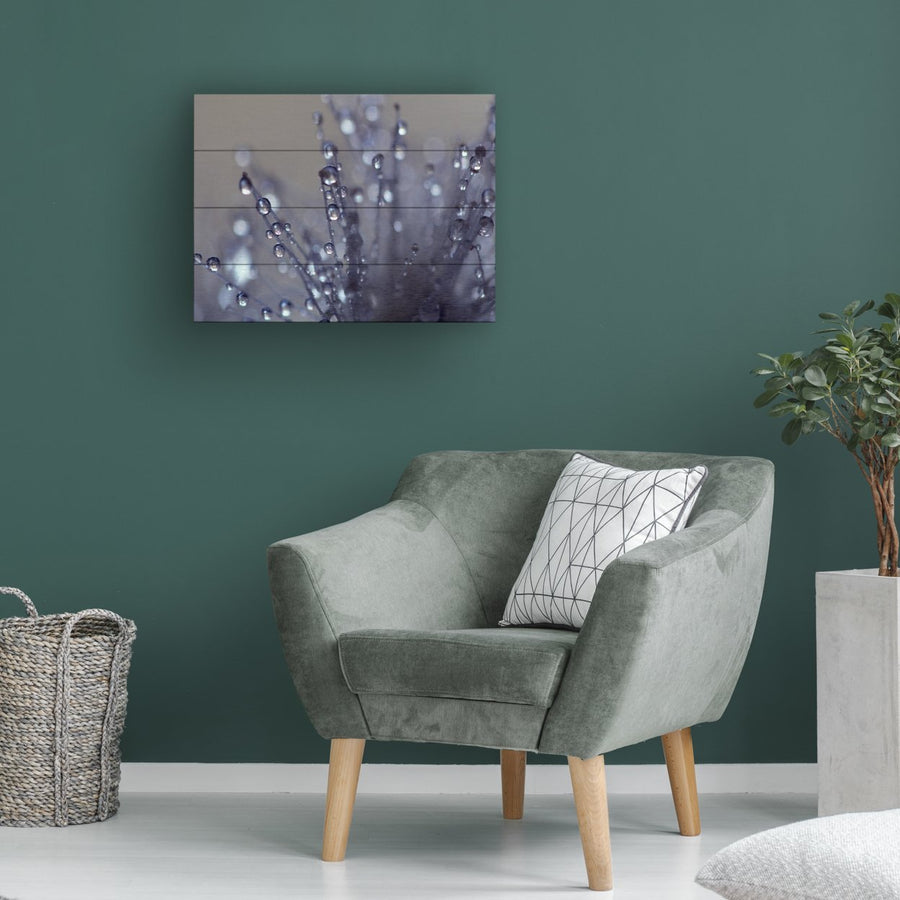 Wall Art 12 x 16 Inches Titled Evening Jewels Ready to Hang Printed on Wooden Planks Image 1