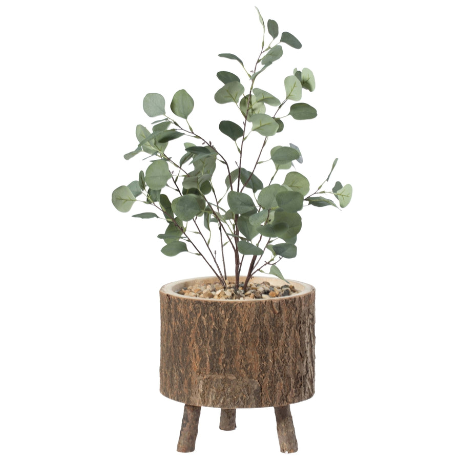 Wooden Stump Tree Log with Bark Planter Pot with Small Tree Branch Legs Image 1