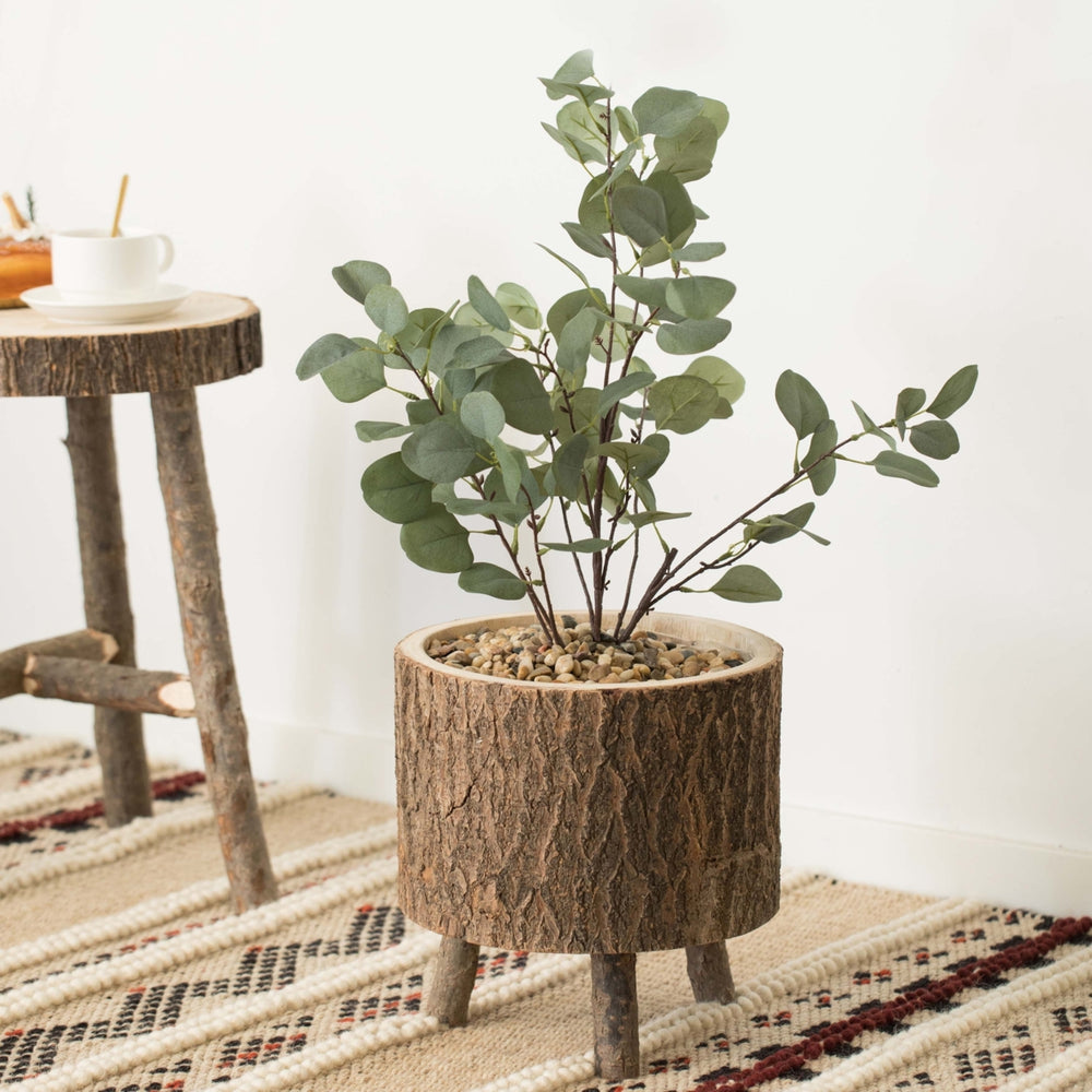 Wooden Stump Tree Log with Bark Planter Pot with Small Tree Branch Legs Image 2