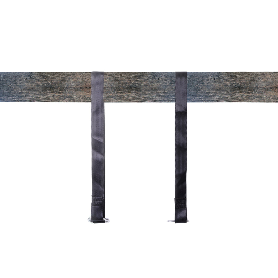 Hanging Black Nylon Straps with Metal Carabiners, Set of 2 Image 1
