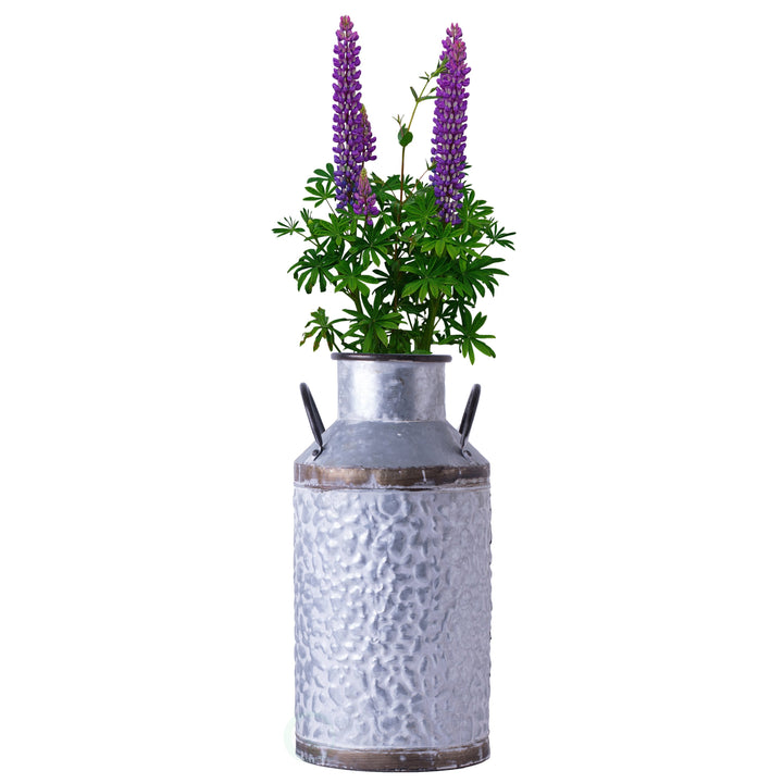 Rustic Farmhouse Style Galvanized Metal Milk Can Decoration Planter and Vase Image 7