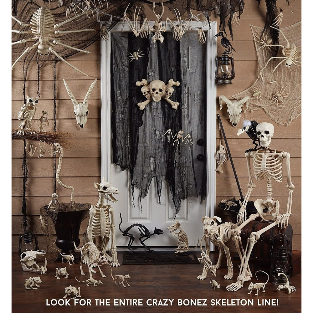 Crazy Bonez Ghostly Skeleton Rat Black Light Responsive 11.5" Halloween Prop Seasons W81325 Image 2