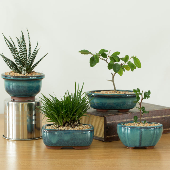 Decorative Mini Glazed Ceramic Bonsai Succulent Pots Flower Planter with Drainage Holes, 4 Pack Image 3
