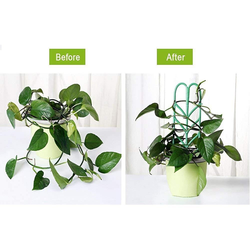 6 Pack Indoor Plant Trellis Garden Plant Vine Support Stake Cage Climbing Frame Image 2