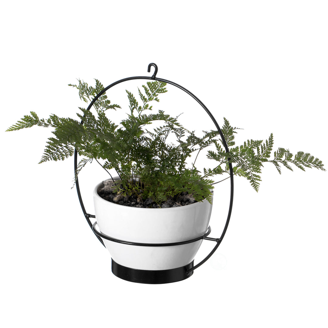Decorative Metal Hanging Planter with Tree Pots for Flowers, White and Black Image 5