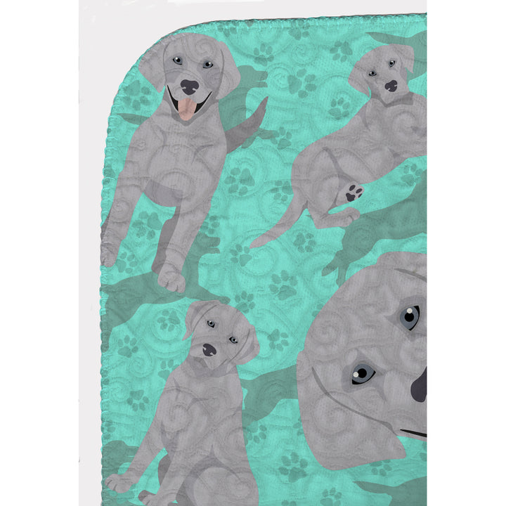 Silver Labrador Retriever Quilted Blanket 50x60 Image 5