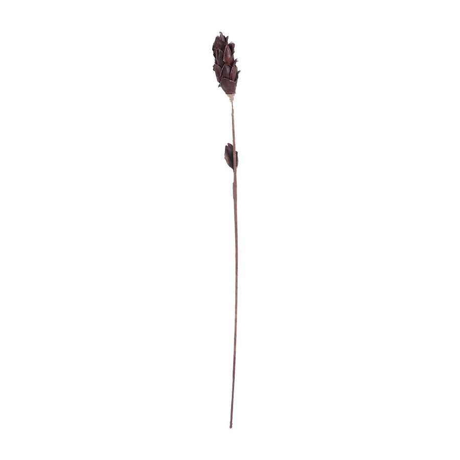 Black Corn Leaf Pole Image 1