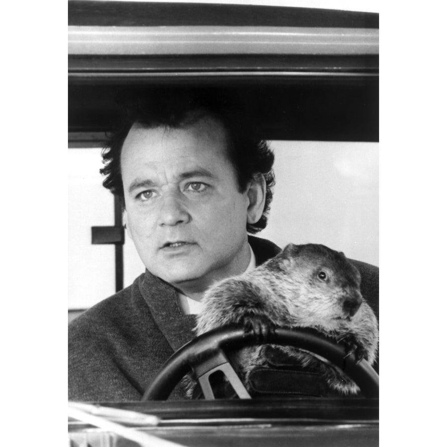 Film still of Bill Murray driving a car with a beaver Photo Print Image 1