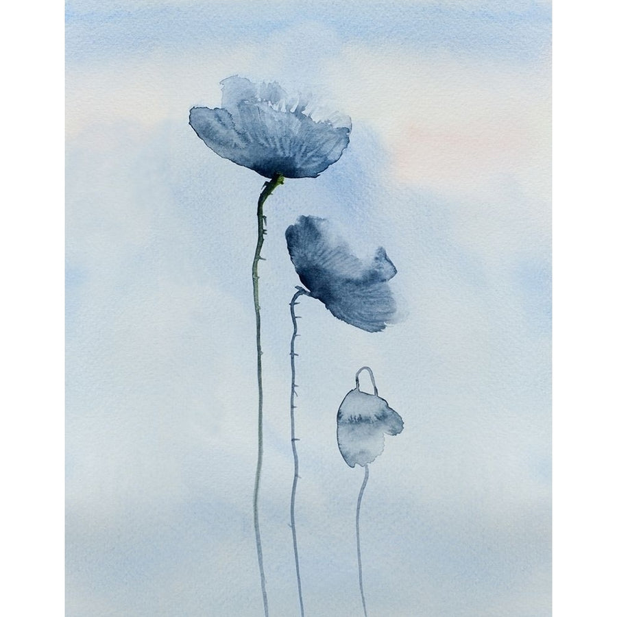 Poppies in blue Poster Print by Anonymous Anonymous Image 1