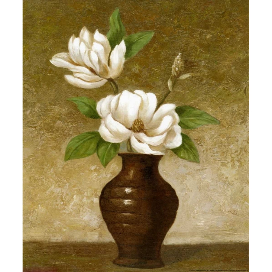 Flowering Magnolia Poster Print by Charles Gaul Image 1