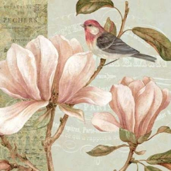 Magnolia Collage I Poster Print by Pamela Gladding Image 1