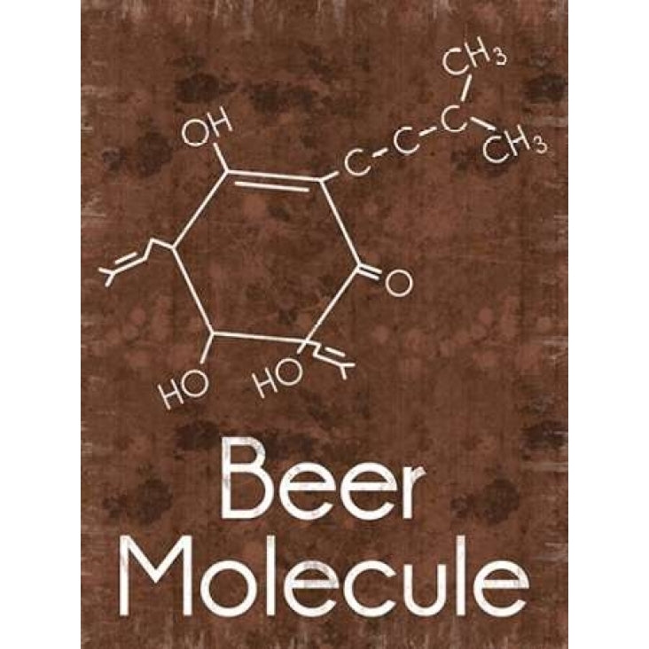 Beer Molecule 2 Rect Brown Poster Print by Lauren Gibbons   GLRC041B2 Image 1