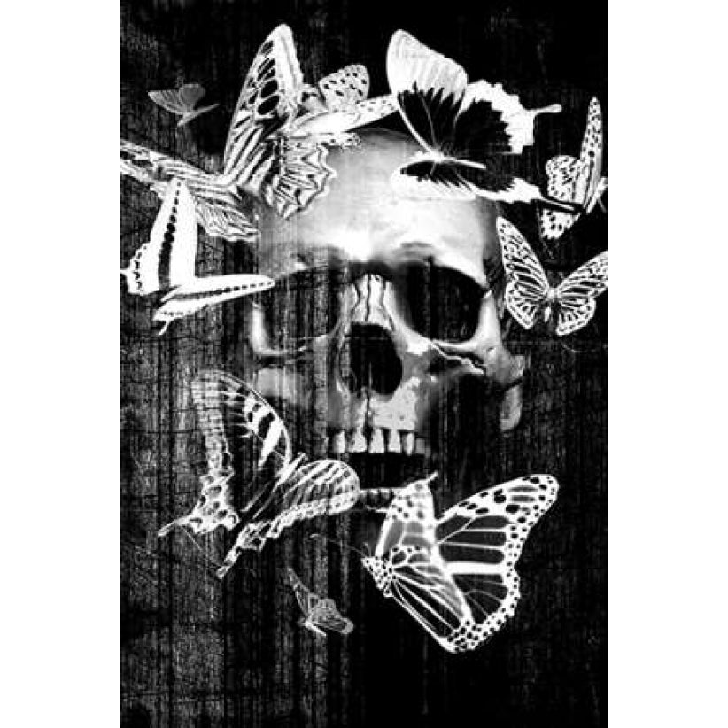 Skull Butterfly Crown Poster Print by GraphINC Image 1