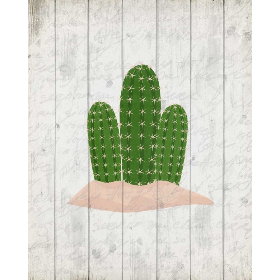 Cactus 2 Poster Print by Kimberly Allen Image 1