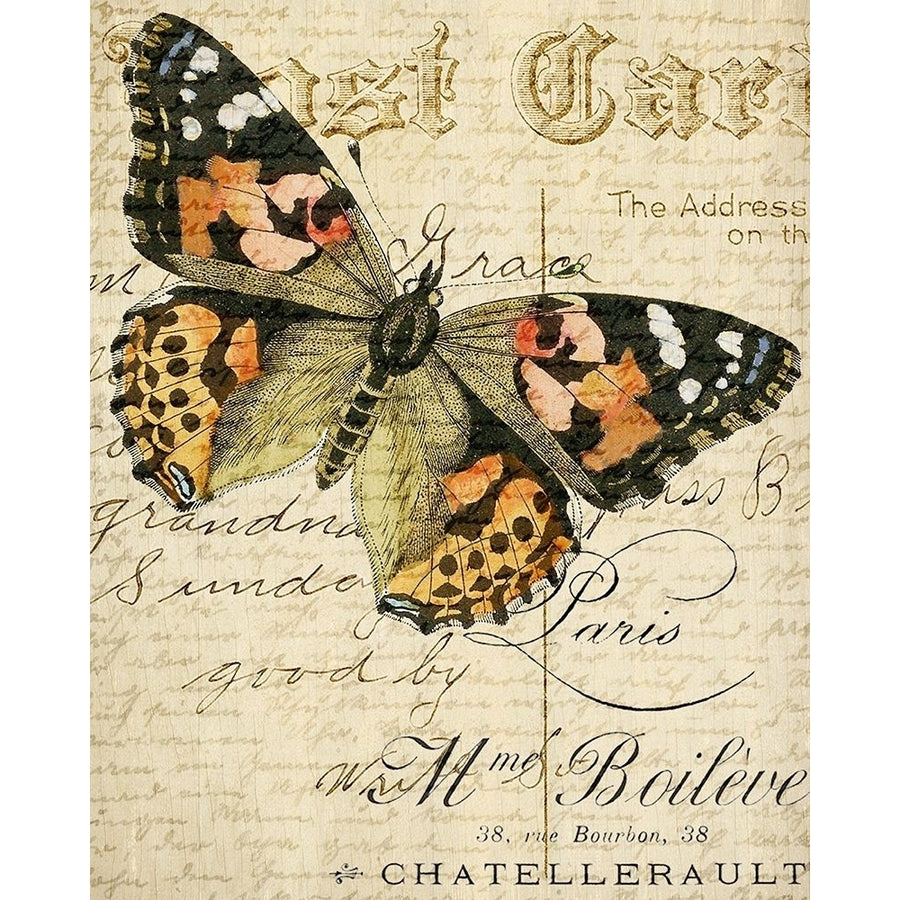 Postcard Butterfly 2 Poster Print by Kimberly Allen Image 1