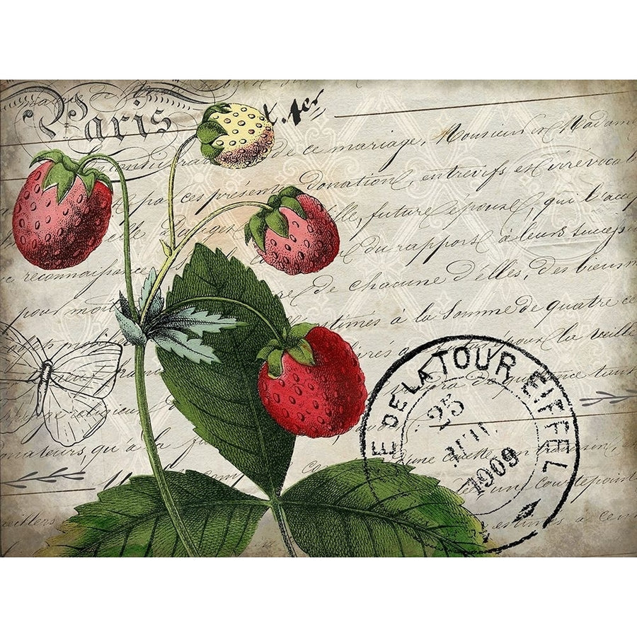 Vintage Strawberry Poster Print by Allen Kimberly Image 1