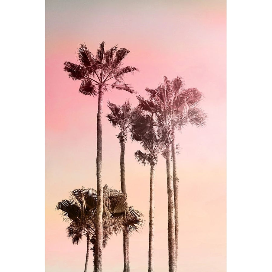 Pink Sunset 1 Poster Print by Allen Kimberly Image 1