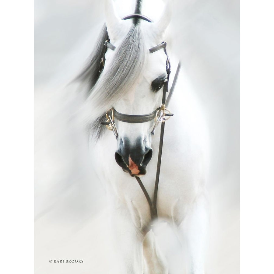 Dream Horse Poster Print by Kari Brooks Image 1