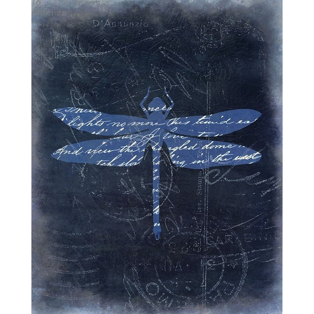 Dragonfly Blue 3 Poster Print by Kimberly Allen Image 2