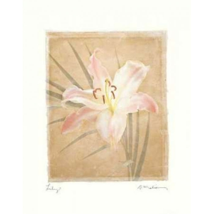 Lily Poster Print by Amy Melious Image 1