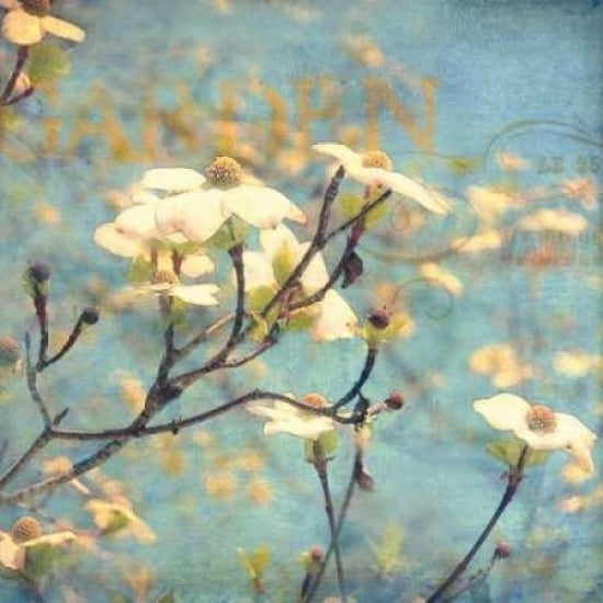 Dogwood II Poster Print by Amy Melious Image 1