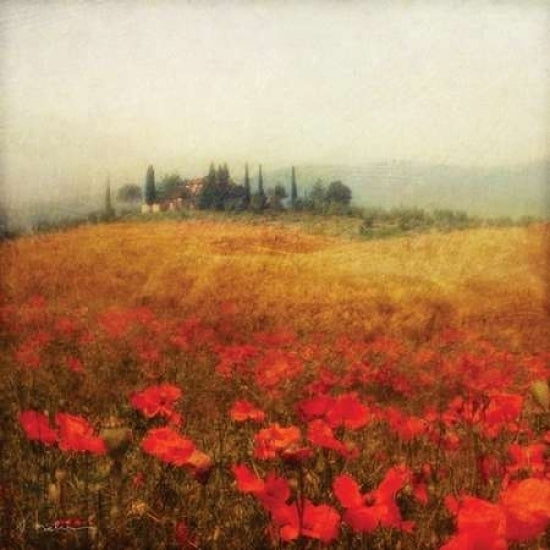 Tuscan Poppies Poster Print by Amy Melious Image 1