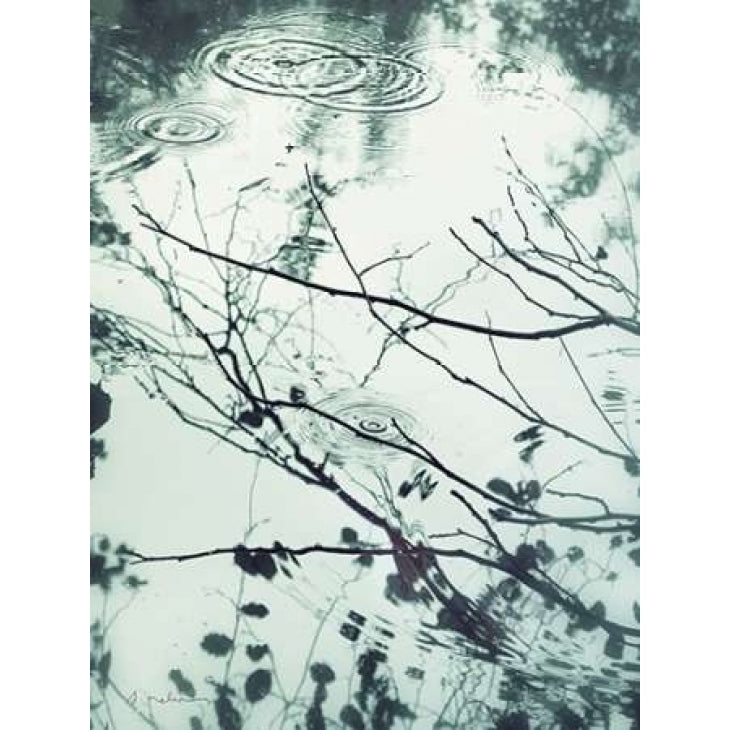 Ripples of the Rain I Poster Print by Amy Melious Image 1