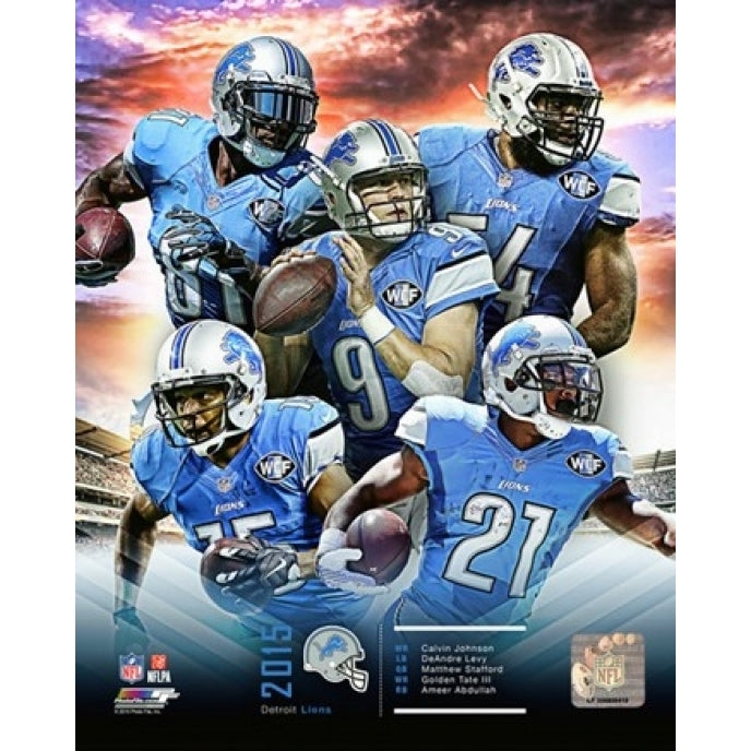 Detroit Lions 2015 Team Composite Sports Photo Image 1