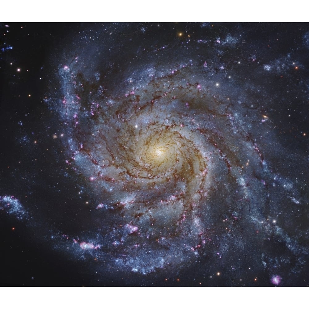 Messier 101 The Pinwheel Galaxy in Ursa Major Poster Print Image 2