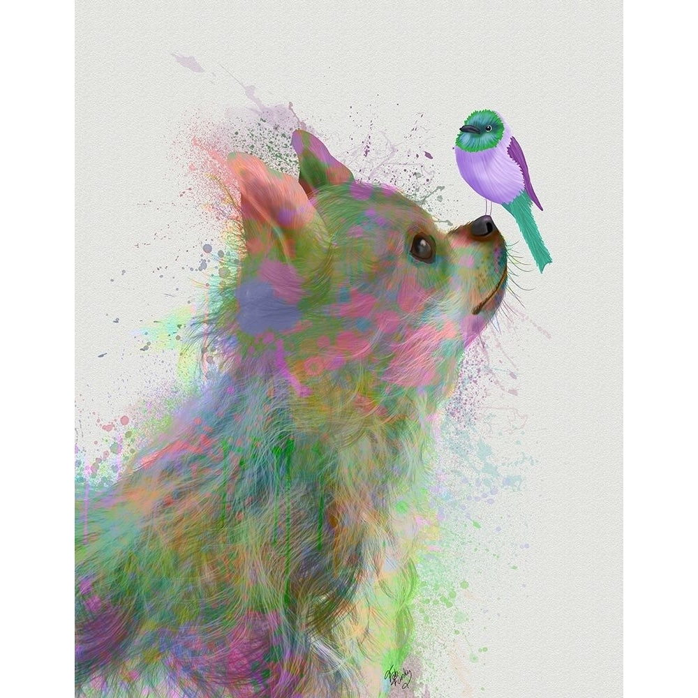 Chihuahua Long Haired Rainbow Splash Poster Print - Funky Fab-VARPDX192640D Image 1