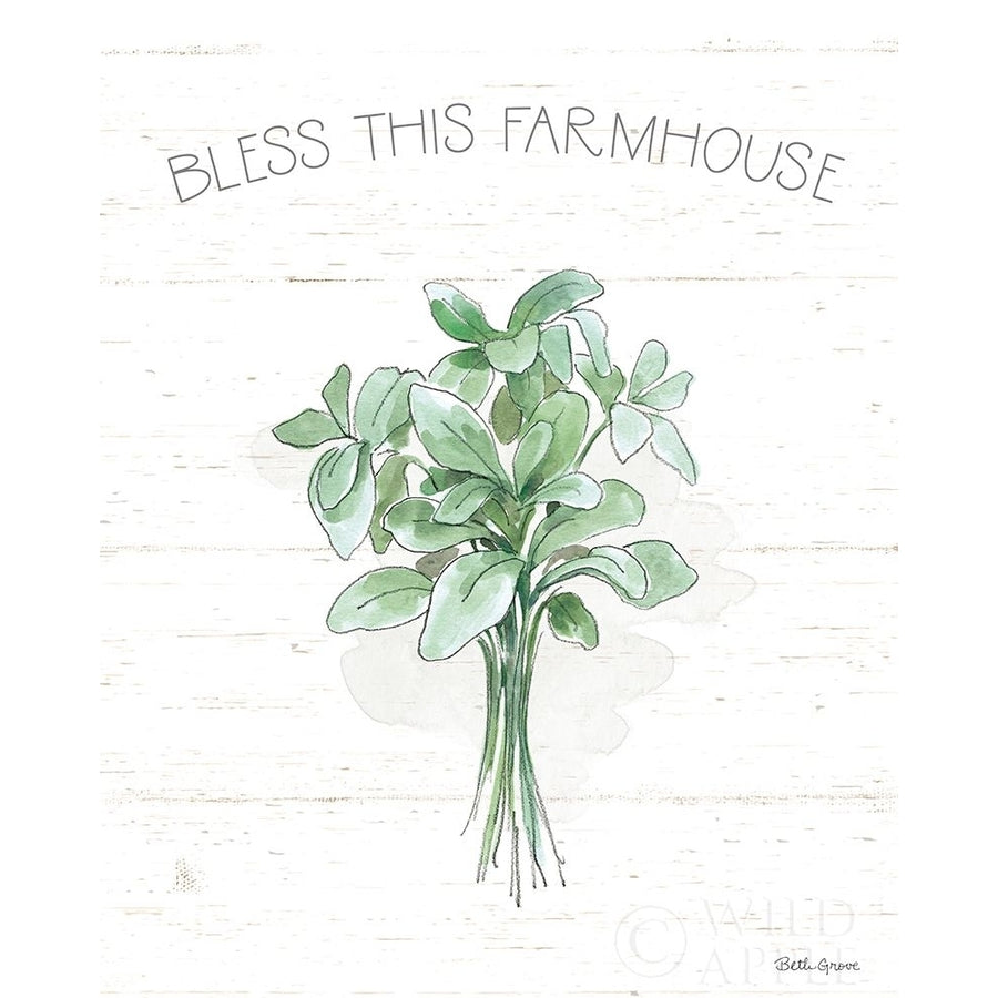 Farmhouse Cotton VI Sage Poster Print by Beth Grove-VARPDX57453 Image 1