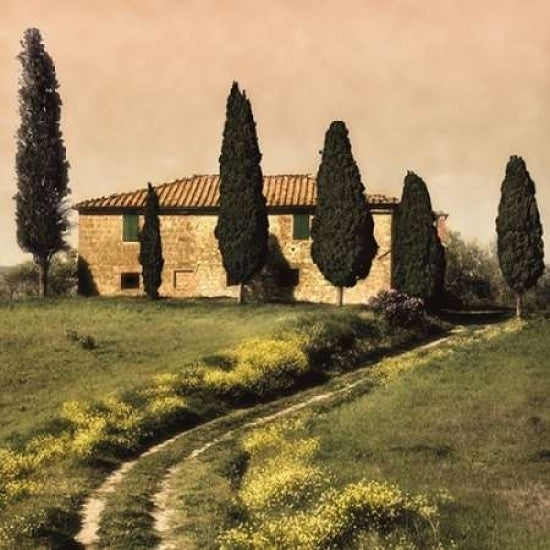 Tuscan Farmhouse Poster Print by Elizabeth Carmel-VARPDXC535D Image 1