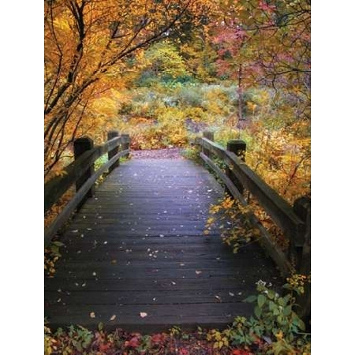 Bridge Over Shallow Water Poster Print by Jessica Jenney-VARPDXJJ038A Image 2