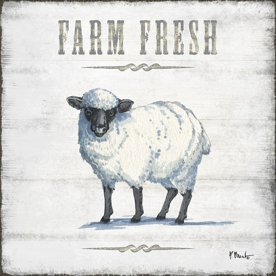 Farmhouse Fresh IV Poster Print by Paul Brent-VARPDXBNT1460 Image 1