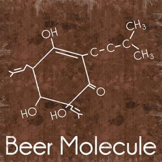Beer Molecule 2 Brown Poster Print by Lauren Gibbons-VARPDXGLSQ118B2 Image 1