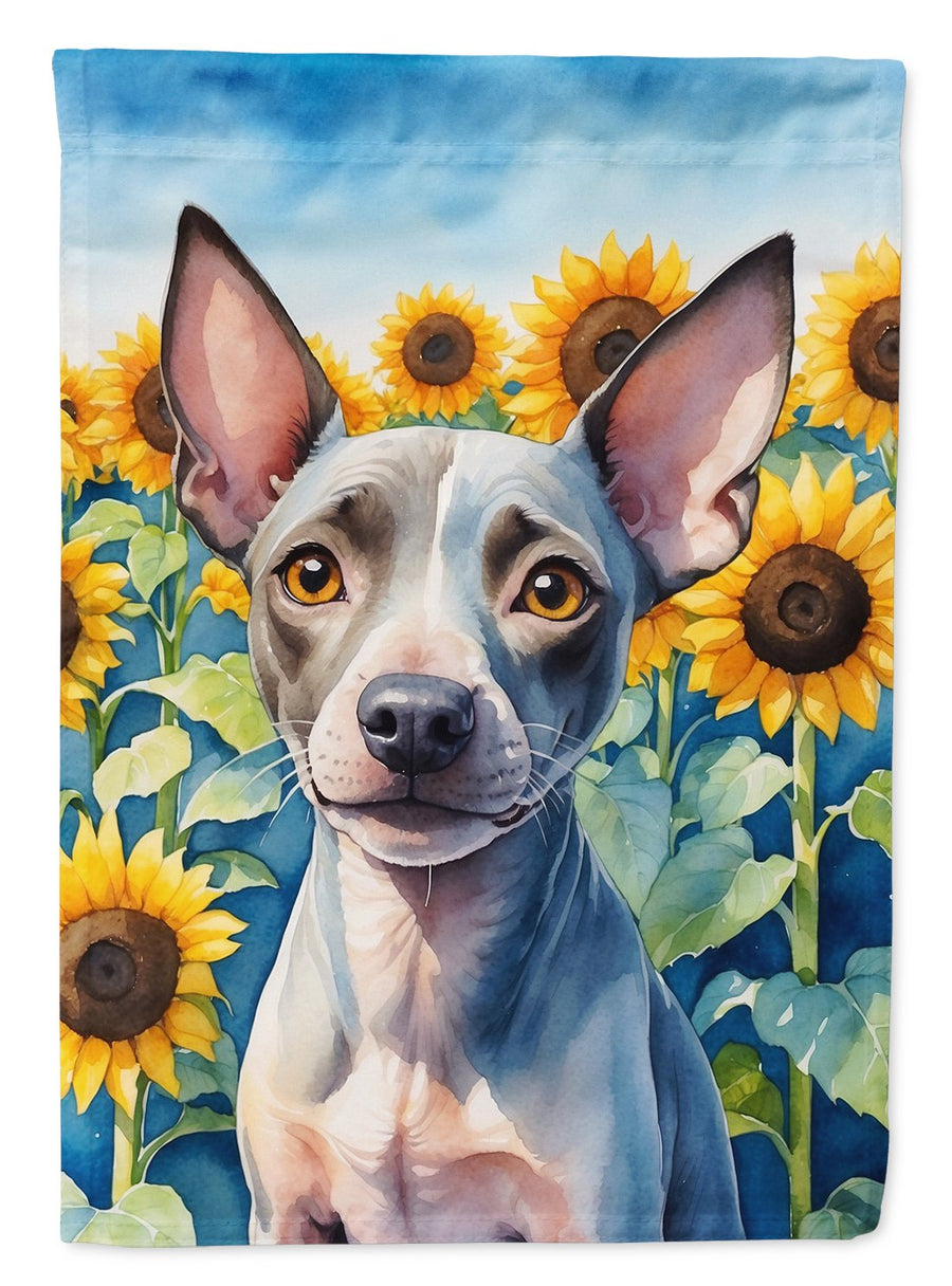 American Hairless Terrier in Sunflowers House Flag Image 1