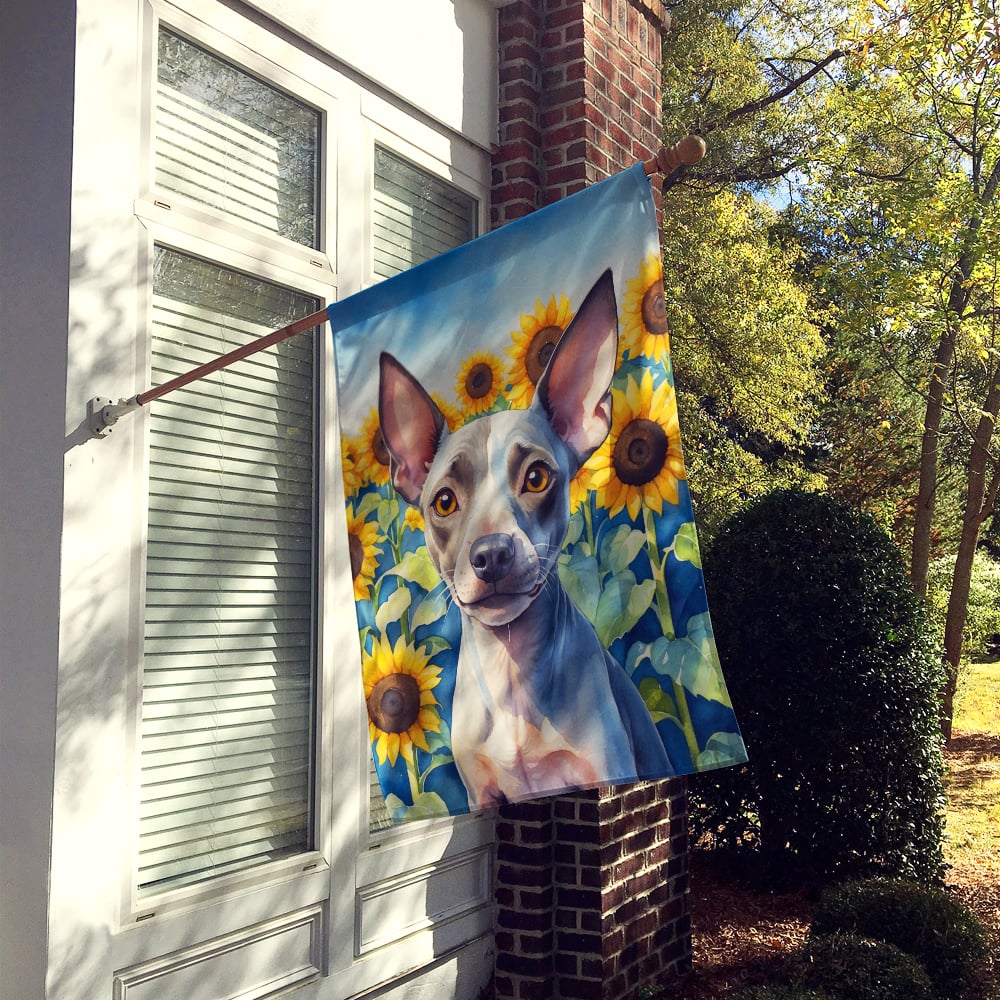 American Hairless Terrier in Sunflowers House Flag Image 2