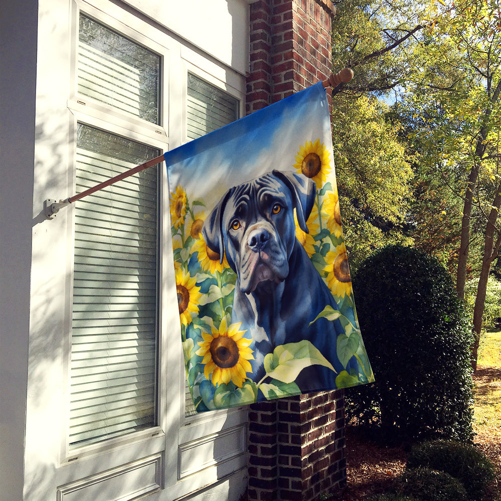 Cane Corso in Sunflowers House Flag Image 2