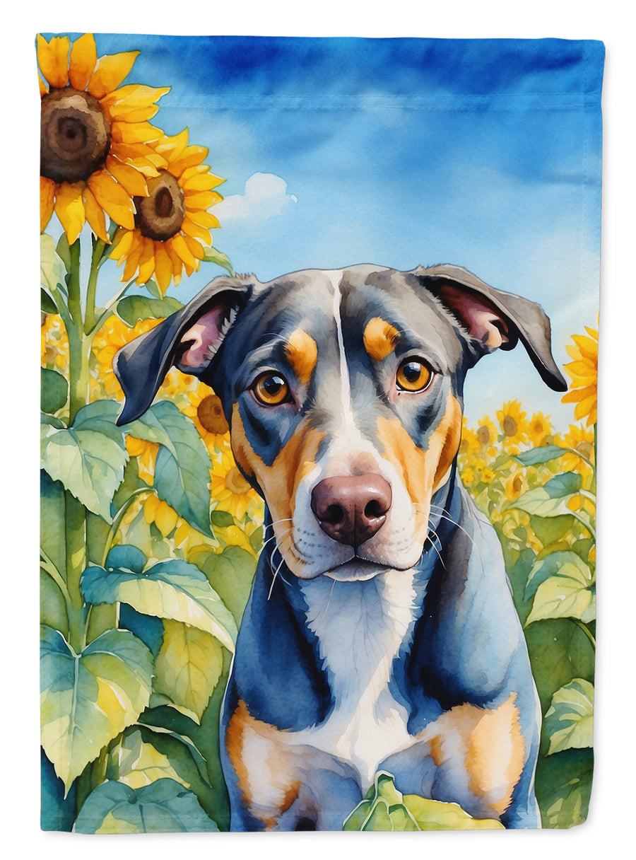 Catahoula in Sunflowers House Flag Image 1
