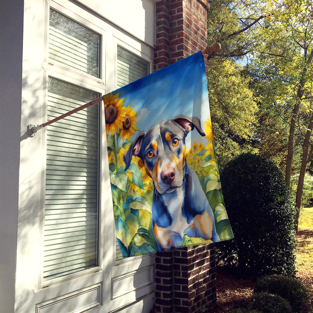 Catahoula in Sunflowers House Flag Image 2