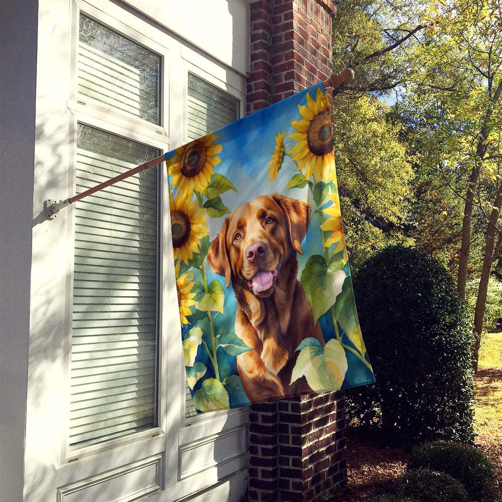 Chesapeake Bay Retriever in Sunflowers House Flag Image 2