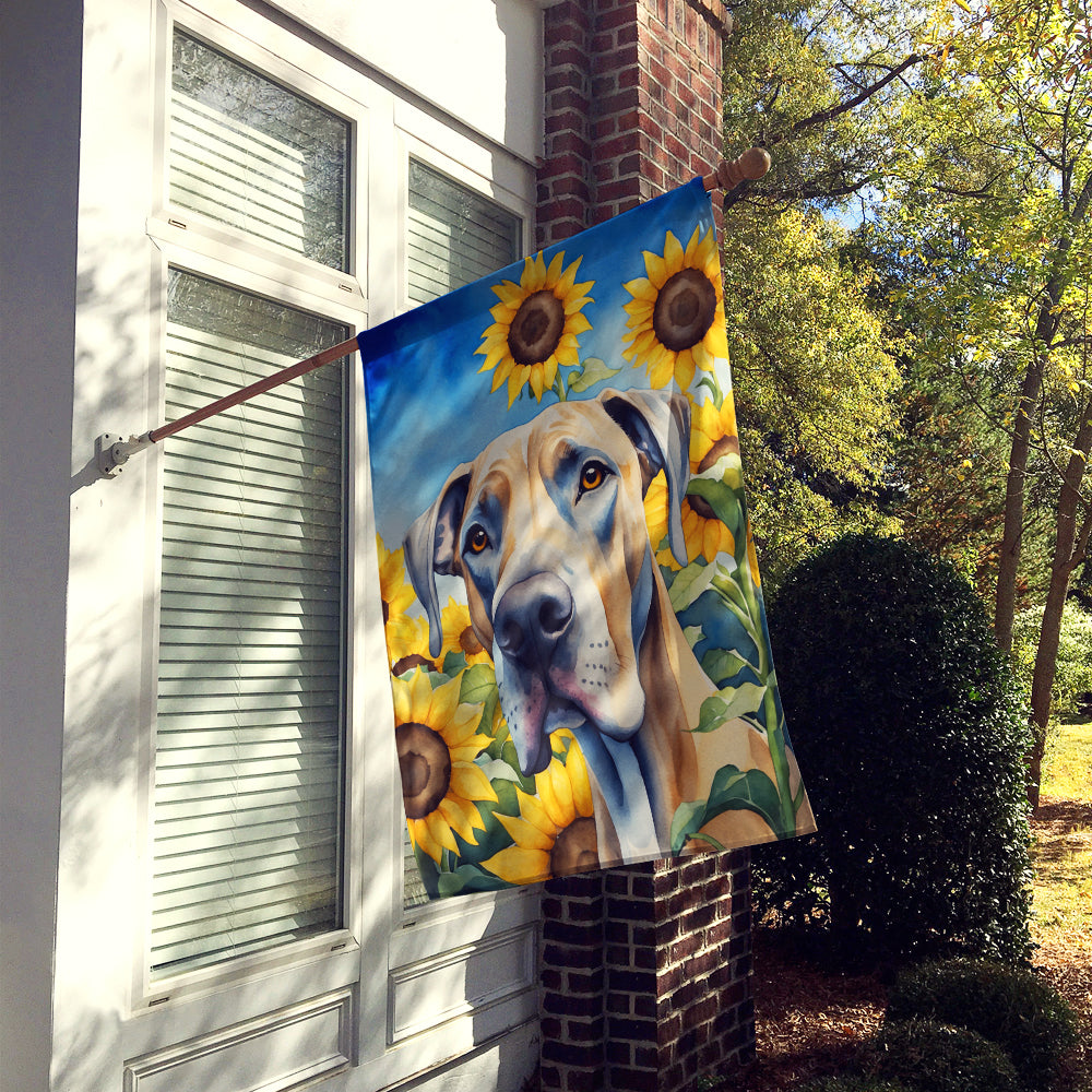 Great Dane in Sunflowers House Flag Image 2