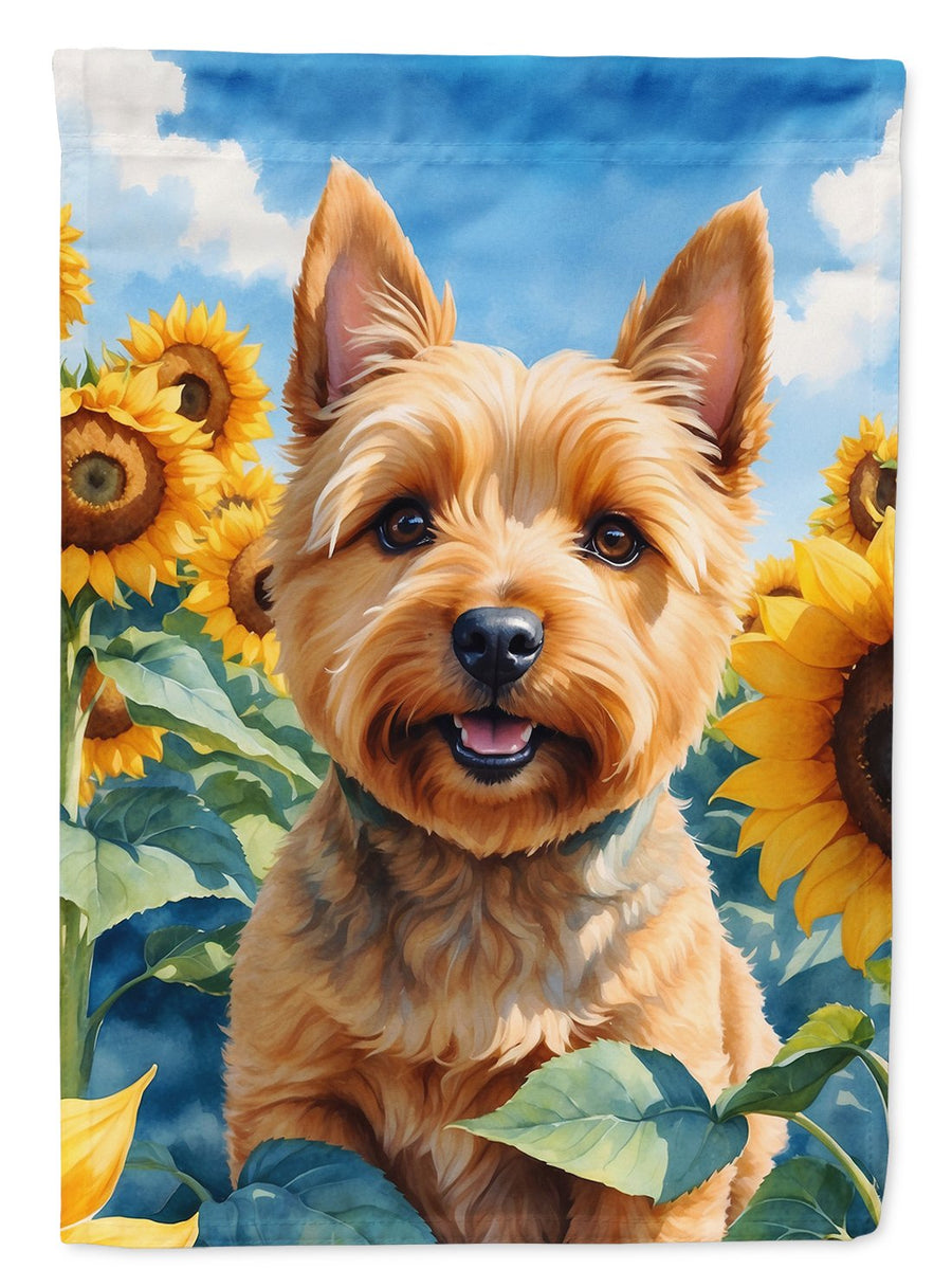 Norwich Terrier in Sunflowers House Flag Image 1