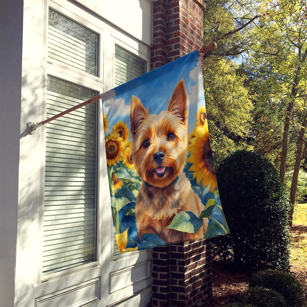 Norwich Terrier in Sunflowers House Flag Image 2