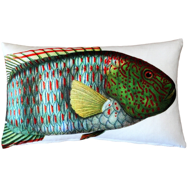 Pillow Decor Maori Wrasse Fish Decorative Pillow 12x19 Double Sided Polyester Image 1