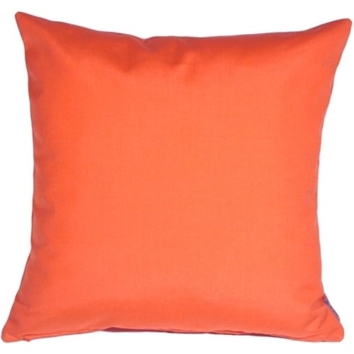 Pillow Decor - Sunbrella Melon 20x20 Outdoor Pillow Image 1