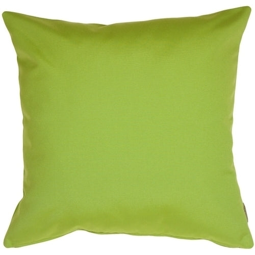 Pillow Decor - Sunbrella Macaw Green 20x20 Outdoor Pillow Image 1