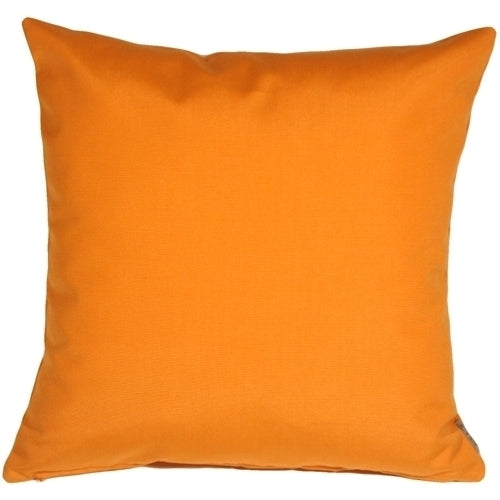 Pillow Decor - Sunbrella Tangerine Orange 20x20 Outdoor Pillow Image 1