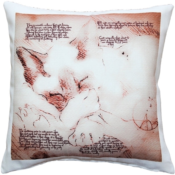 Pillow Decor - Dreaming Cat Throw Pillow 17x17 Image 1