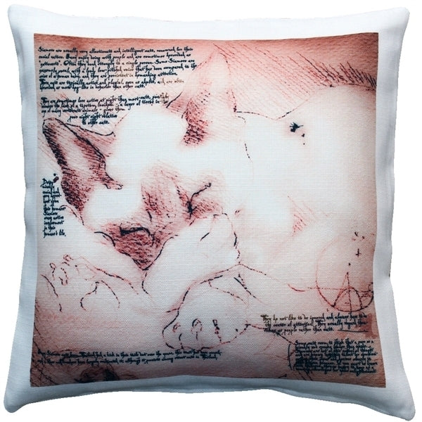 Pillow Decor - Sleeping Siamese Cat Pillow 17x17 Image 1